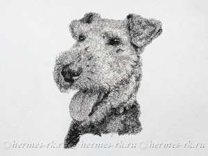 Портрет собаки