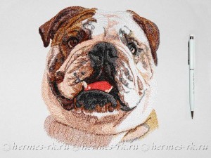 Портрет собаки (бульдог)