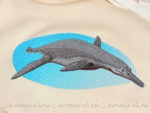 Яркая вышивка на свотшотах