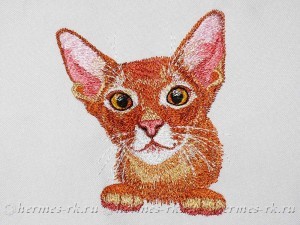 Портрет кошки