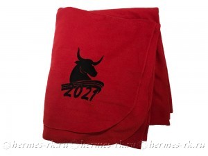 Вышивка на пледе