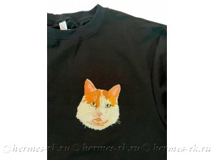 Вышивка кота по фотографии