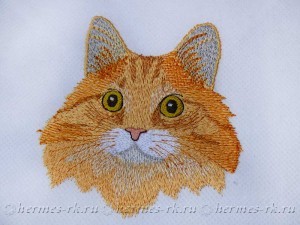 Вышивка кота по фото