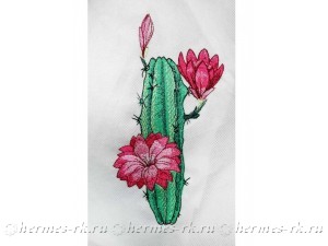 Вышивка кактуса