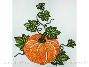 Вышивка тыквы на салфетках