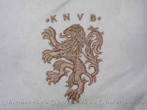 Вышивка на ткани