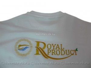 Логотип на футболке