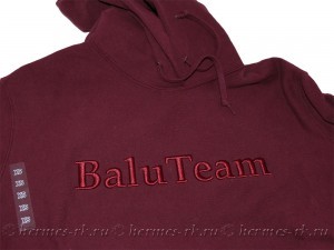 Вышивка для конного клуба на толстовке