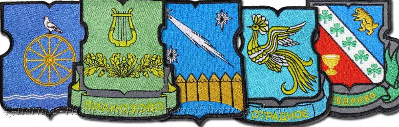 Шевроны и нашивка