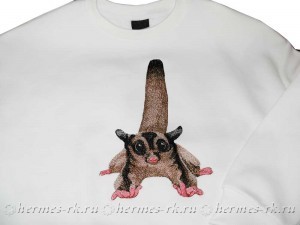 Вышивка на худи