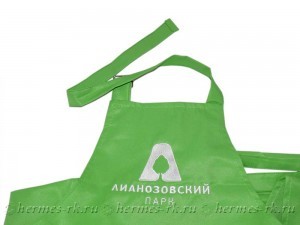 Вышивка на фартуках