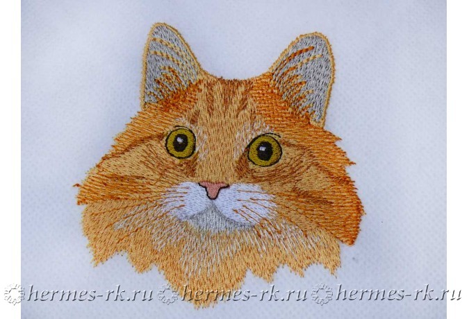 Преобразуйте фото в вышитого кота: Уникальная машинная вышивка по фотографии!